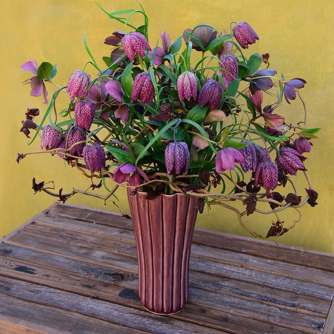 25 Stylish Pictures Of Lilacs In A Vase 2024 free download pictures of lilacs in a vase of fritillaria meleagris and helleborus orientalis in a vase from intended for fritillaria meleagris and helleborus orientalis in a vase from hanne bertelsen cla