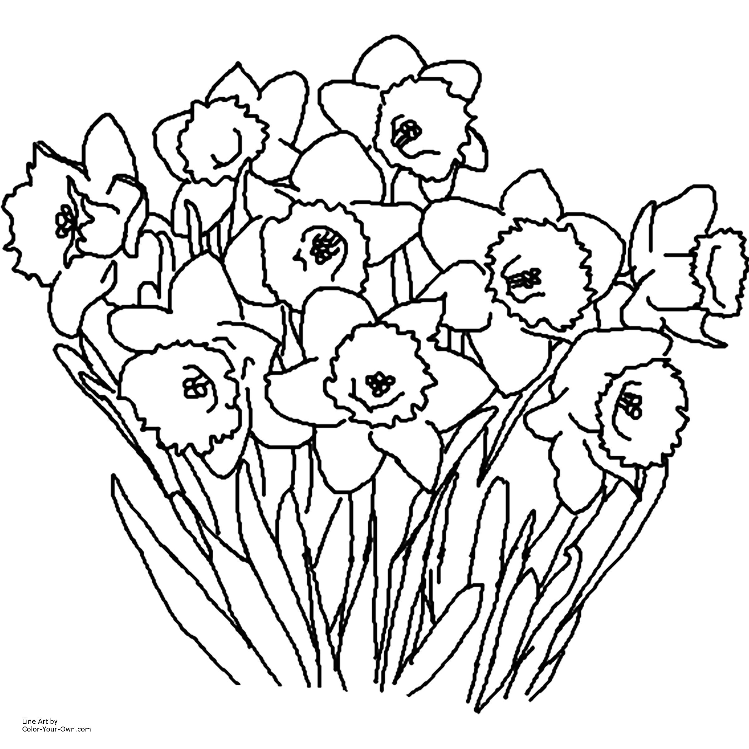 29 Unique Pictures Of Roses In A Vase 2024 free download pictures of roses in a vase of springtime coloring pages fresh new cool vases flower vase coloring in new cool vases flower vase coloring page pages flowers in a top i 0d