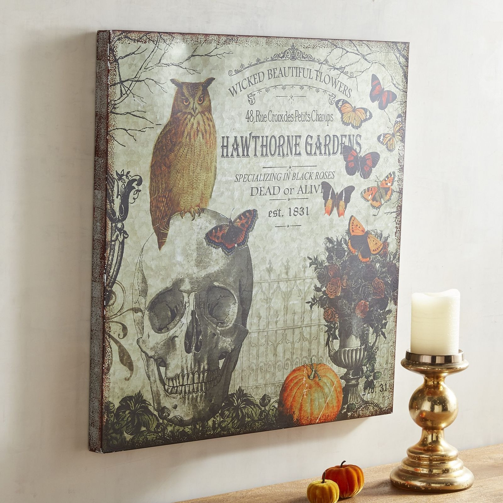 20 Awesome Pier 1 Owl Vase 2024 free download pier 1 owl vase of hawthorne gardens with owl wall decor pier 1 imports halloween with regard to hawthorne gardens with owl wall decor pier 1 imports