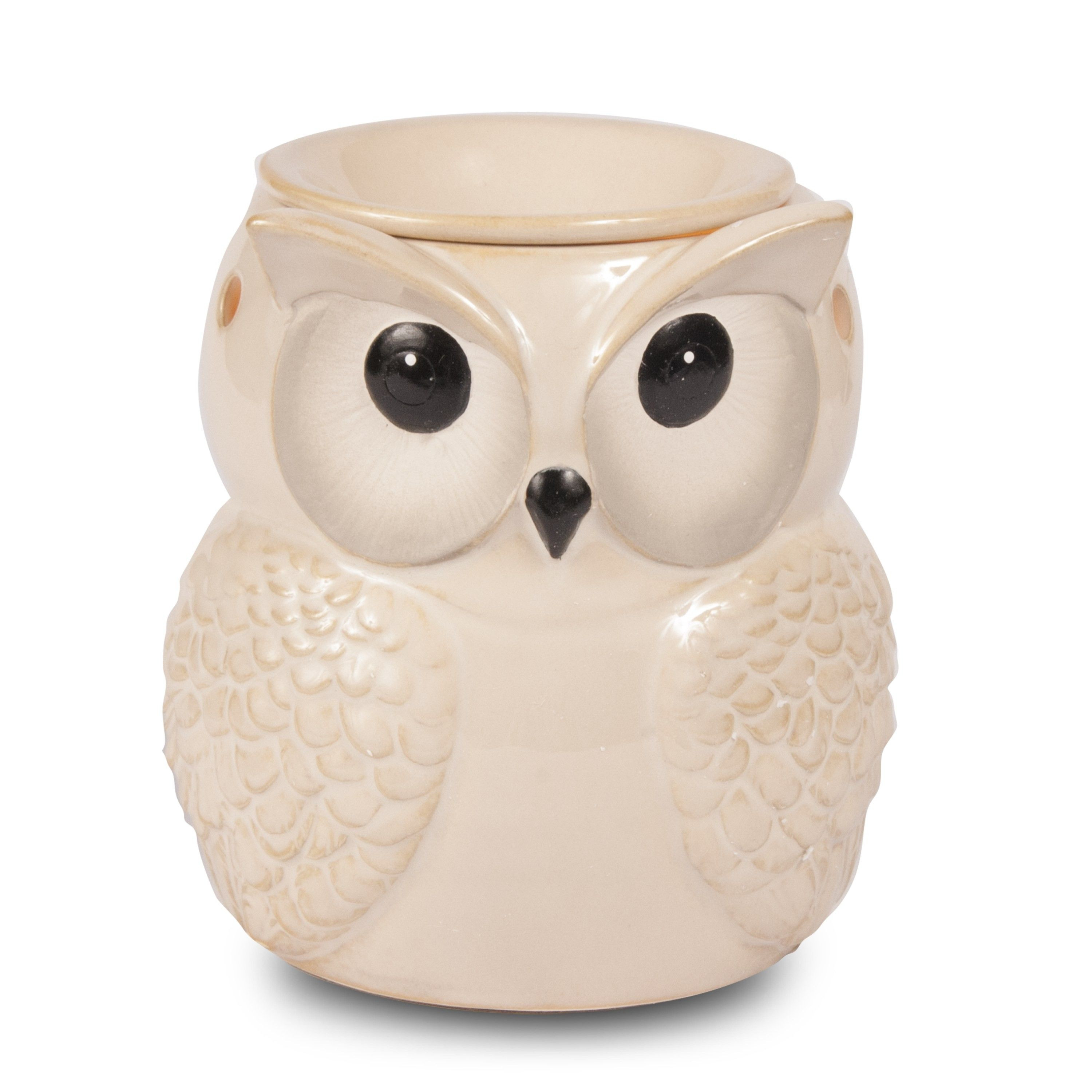 17 Fantastic Pier One Owl Vase 2024 free download pier one owl vase of winter white owl product photography pinterest owl and product intended for winter white owl