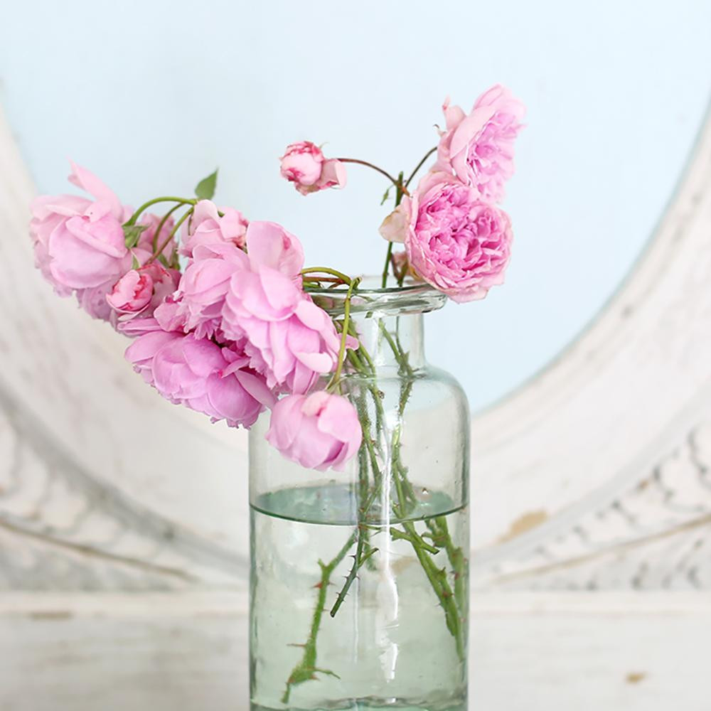 13 Wonderful Pink Bubble Glass Vase 2024 free download pink bubble glass vase of https www shabbychic com daily https www shabbychic com inside glass vase 1 v1527722791