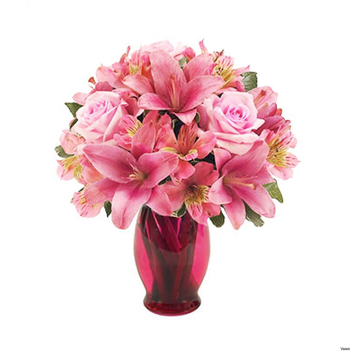 27 Popular Pink Ceramic Vase 2024 free download pink ceramic vase of elegant flower picture for colouring pets nature wallpaper within bf142 11km 1200x1200h vases pink flower vase i 0d