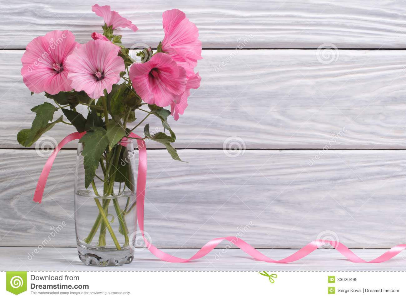 24 Lovable Pink Flowers In Glass Vase 2024 free download pink flowers in glass vase of lavatera pink flowers in a glass vase stock image image of bunch intended for lavatera pink flowers in a glass vase