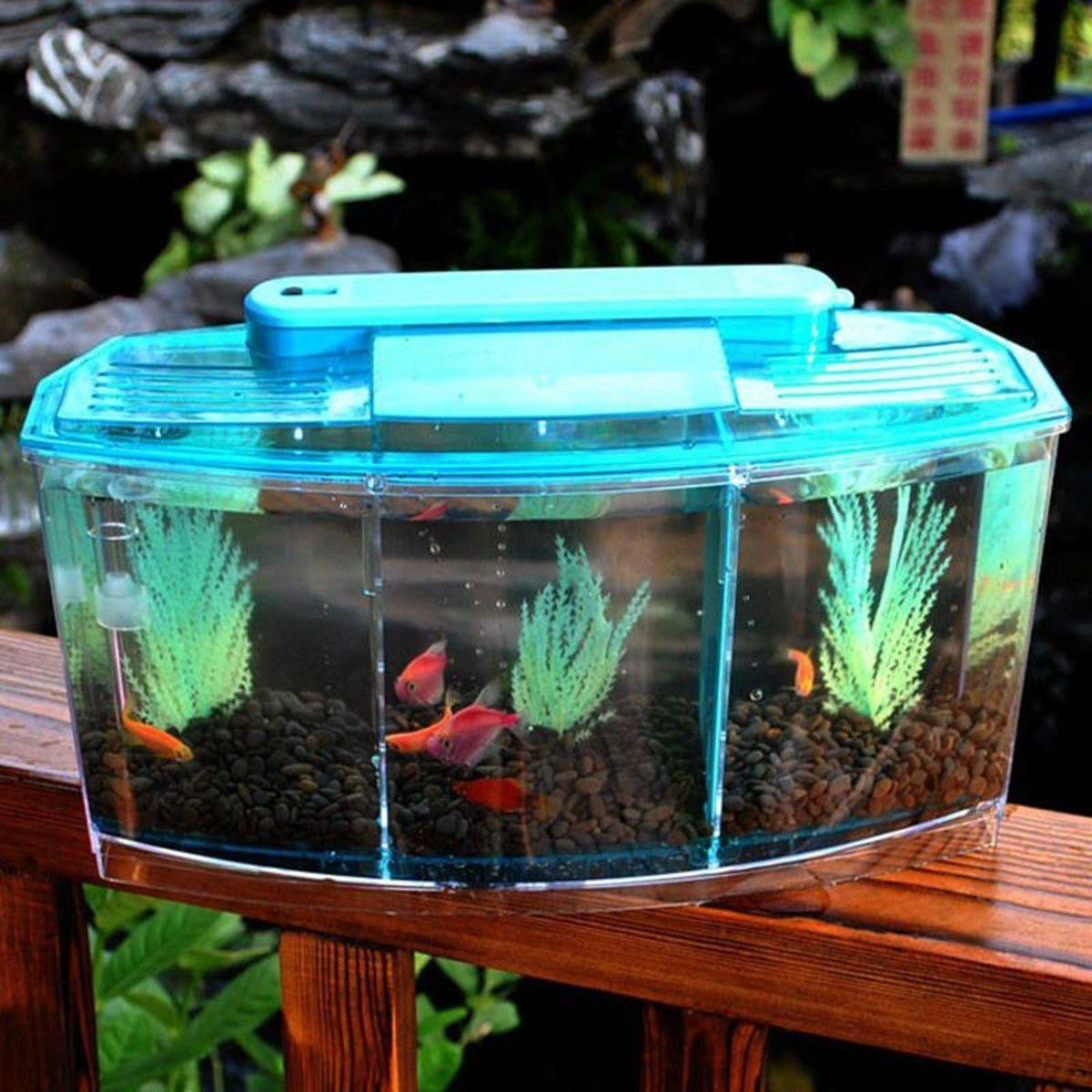 16 Cute Plant In Vase with Betta Fish 2024 free download plant in vase with betta fish of aquariums buy aquariums at best price in malaysia www lazada com my intended for led light triple cube betta mini aquarium box separate breed spawning fish t