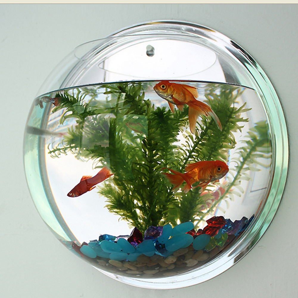 16 Cute Plant In Vase with Betta Fish 2024 free download plant in vase with betta fish of hot sale semicircular wall hanging glass plant flower vase throughout 2018 pot plant wall mounted hanging bubble bowl fish tank aquarium home art decor set c