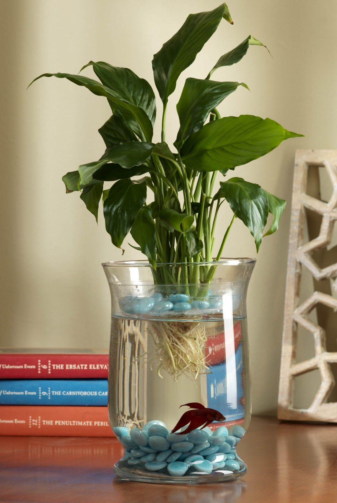 15 Stunning Plant Vase Fish Tank 2022 free download plant vase fish tank of create a living eco system did you know the peace lily plant acts within create a living eco system did you know the peace lily plant acts as a natural air purifier i