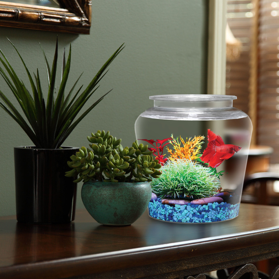 13 Amazing Plants for Betta Vase 2024 free download plants for betta vase of vase shaped fish tank best vase decoration 2018 with hanging glass ball vase plant flower terrarium wall fish tank