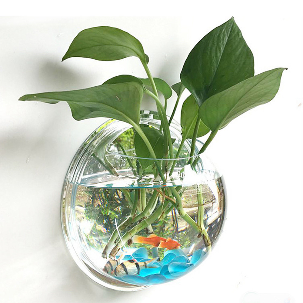 21 Stylish Plants for Bettas In A Vase 2024 free download plants for bettas in a vase of clear potted plant wall hanging bubble fish bowl tank aquarium intended for new pot plant wall mounted newest hanging bubble bowl flowers fish tank home decor 