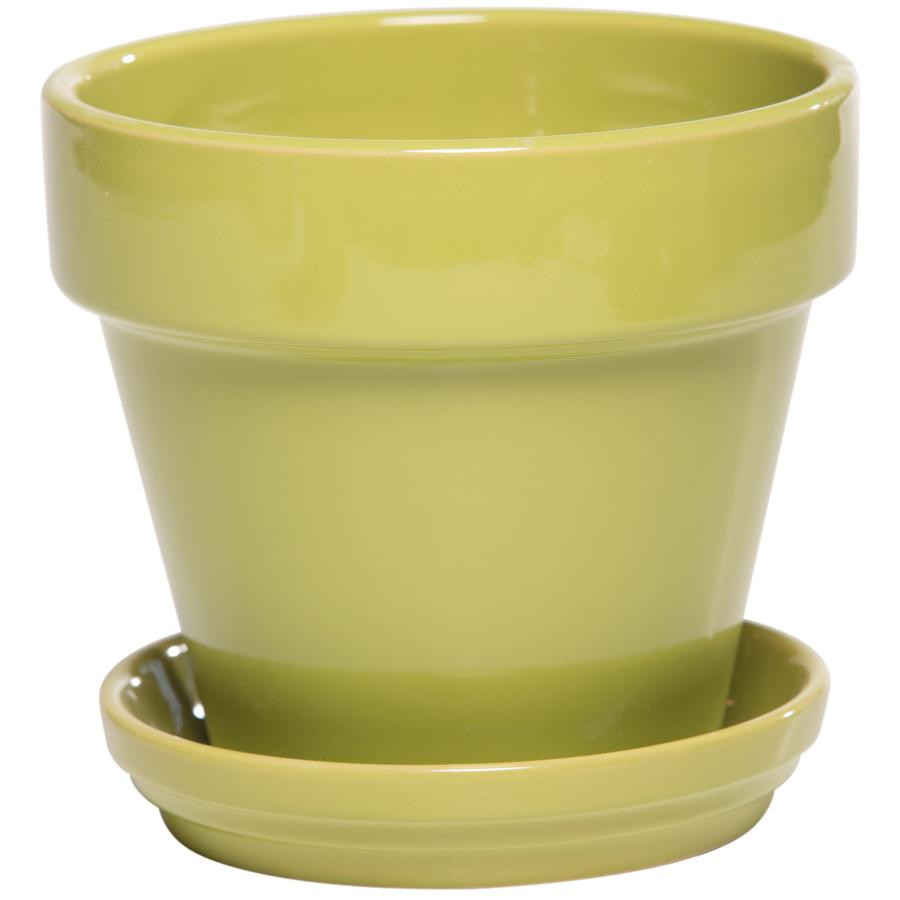 26 Lovable Plastic Urn Vase 2024 free download plastic urn vase of deroma regarding vase with saucer