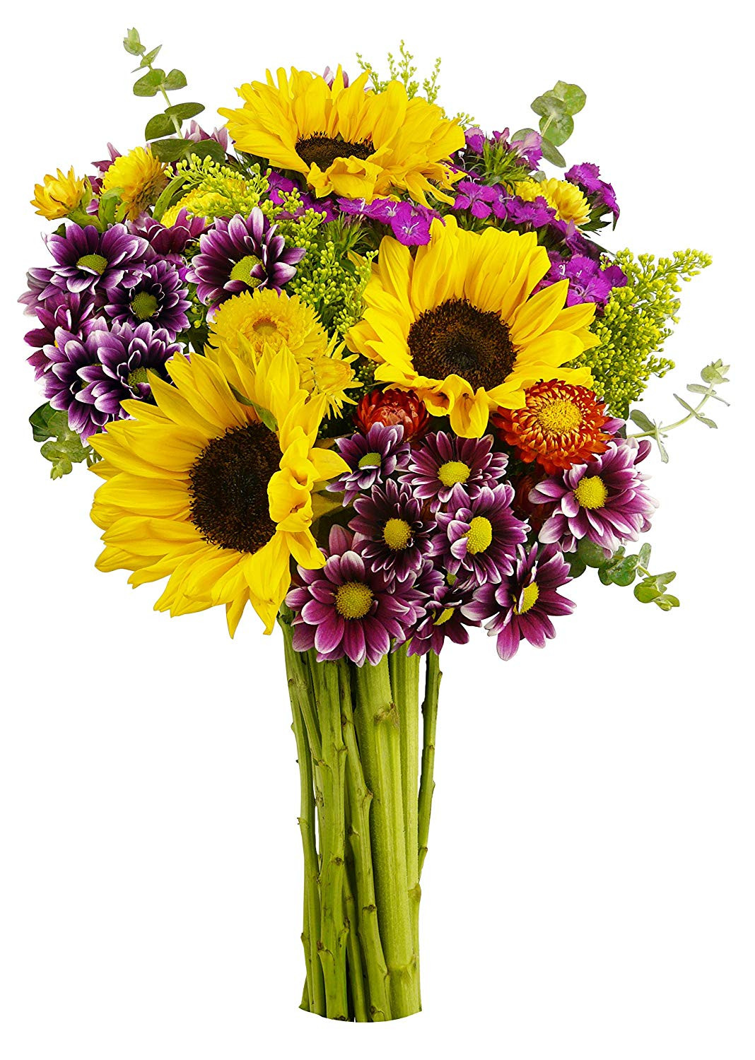 28 Unique Proflowers 19.99 Free Vase 2024 free download proflowers 19 99 free vase of best more home garden deals and more home garden for sale pertaining to benchmark bouquets flowering fields no vase