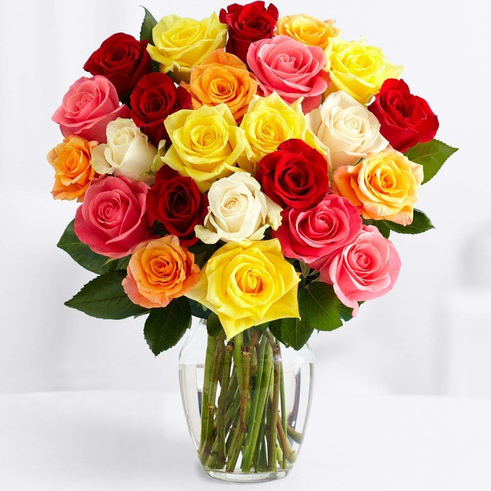 28 Unique Proflowers 19.99 Free Vase 2024 free download proflowers 19 99 free vase of best more home garden deals and more home garden for sale regarding proflowers free shipping two dozen rainbow roses with free glass vase