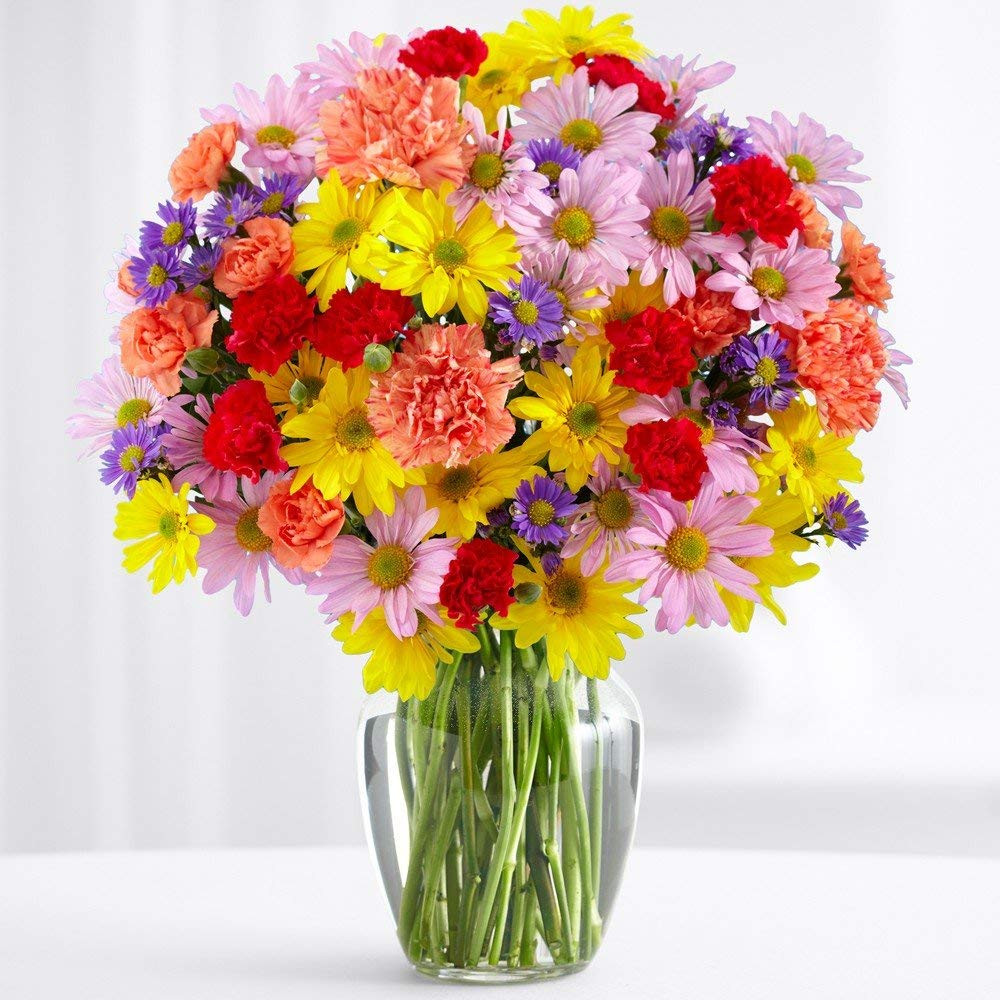 28 Unique Proflowers 19.99 Free Vase 2024 free download proflowers 19 99 free vase of best more home garden deals and more home garden for sale with regard to proflowers free shipping 100 blooms of sunshine with free glass vase