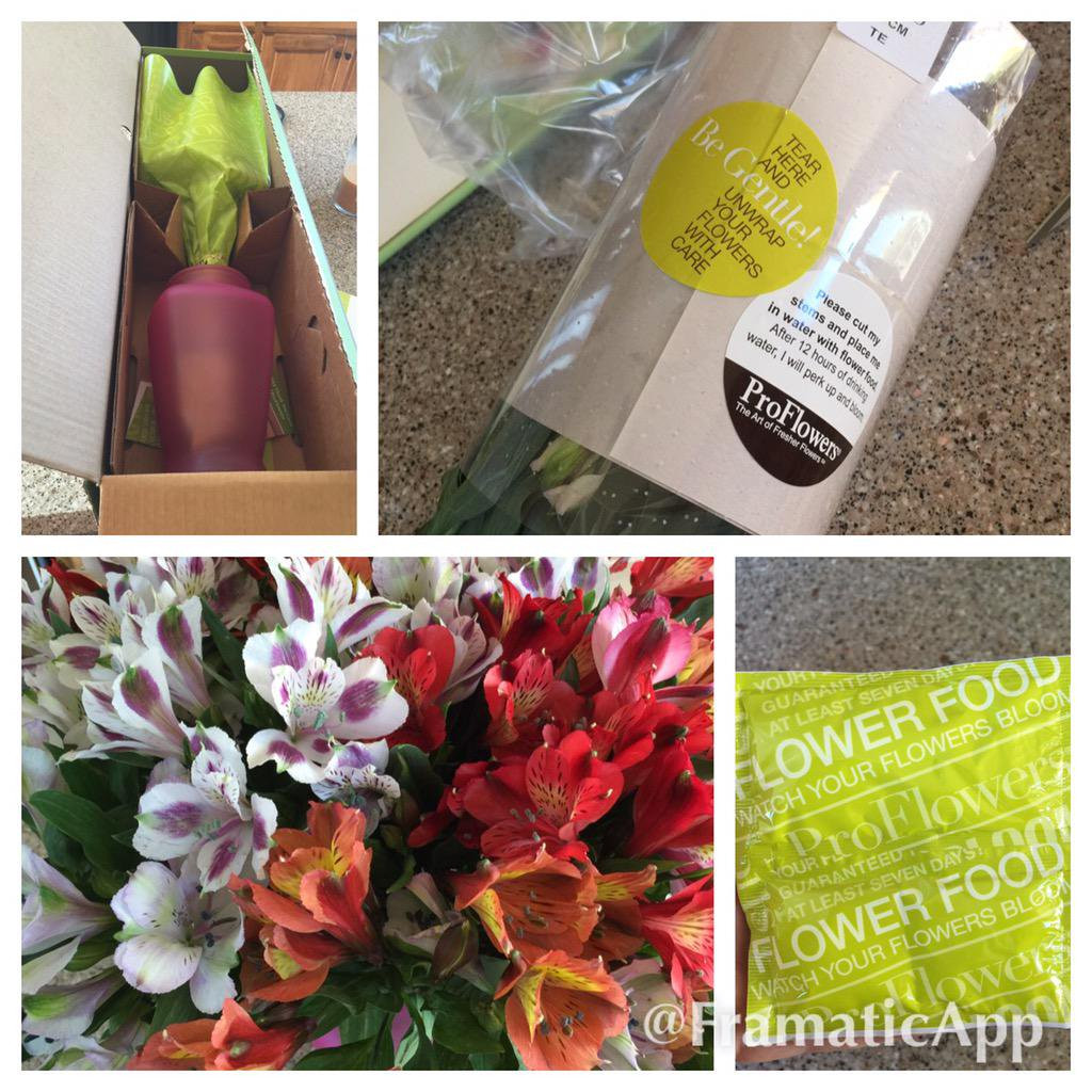 26 Ideal Proflowers Free Vase Code 2024 free download proflowers free vase code of dave ryan on twitter the flowers i got this week from proflowers intended for 643 am 28 apr 2015