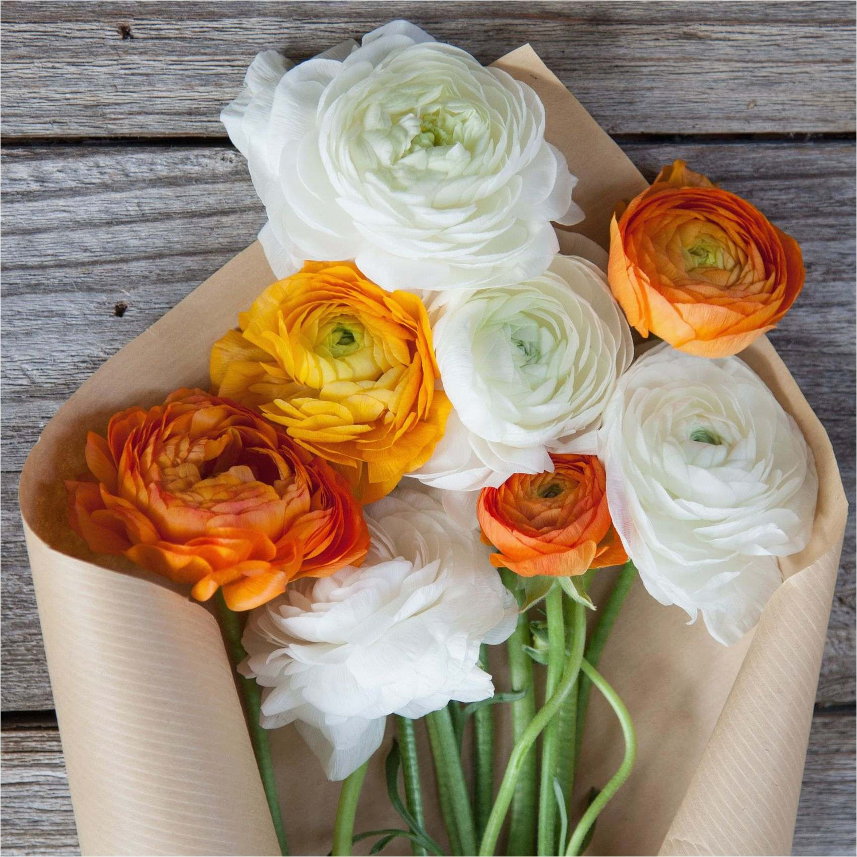 16 Perfect Proflowers Free Vase 2024 free download proflowers free vase of send fresh flowers picture 50 luxury flower bouquet pics style throughout send fresh flowers these white and orange ranunculus are a total crowd pleaser as luxury