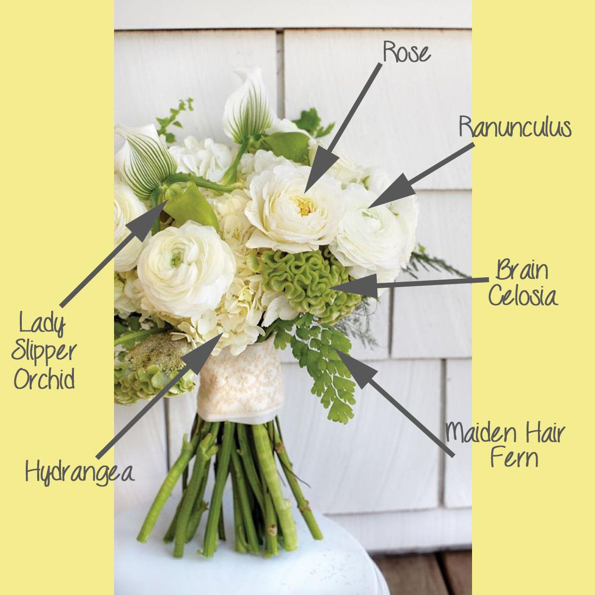 16 Perfect Proflowers Free Vase 2024 free download proflowers free vase of white and green textural bouquet breakdown white bouquets and in centerpieces
