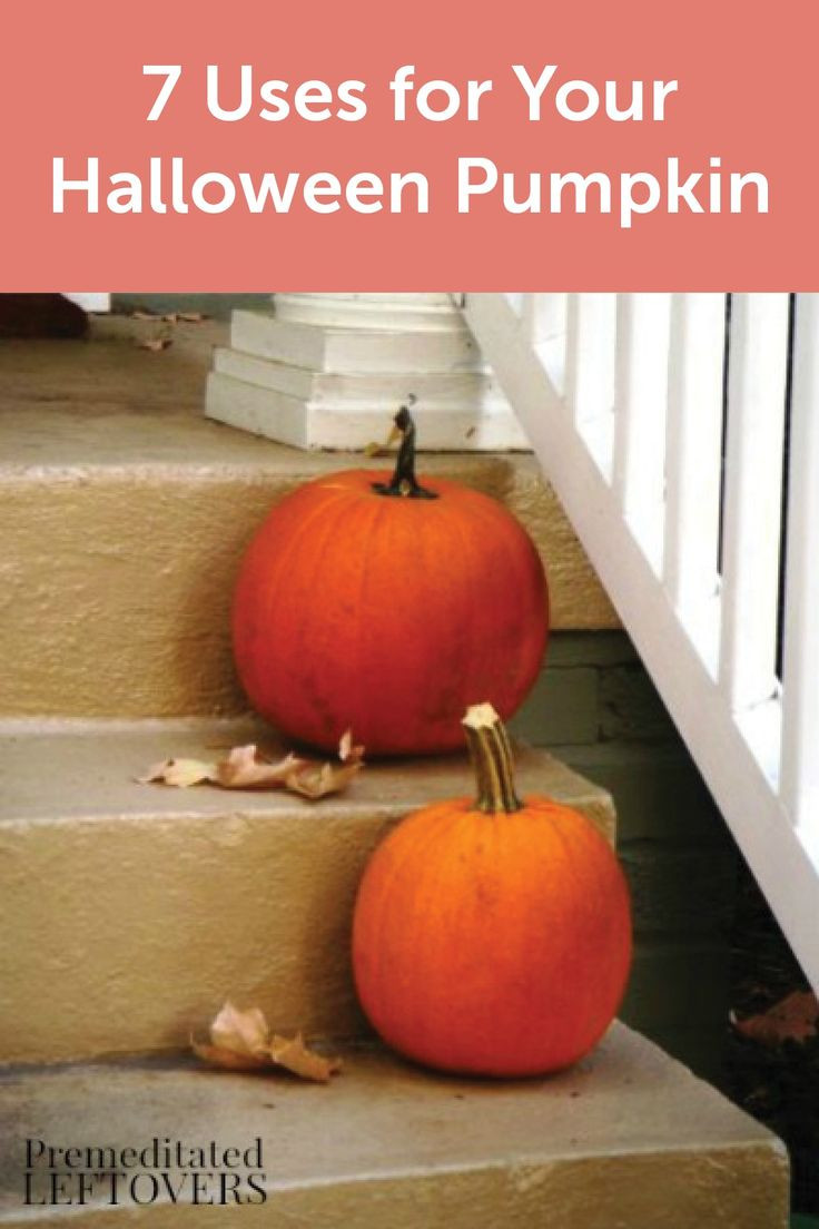 21 Fabulous Pumpkin Vases for Sale 2024 free download pumpkin vases for sale of 35 best halloween fright images on pinterest pumpkin crafts regarding wondering how else to reuse this fall gourd check out these 7 uses for your