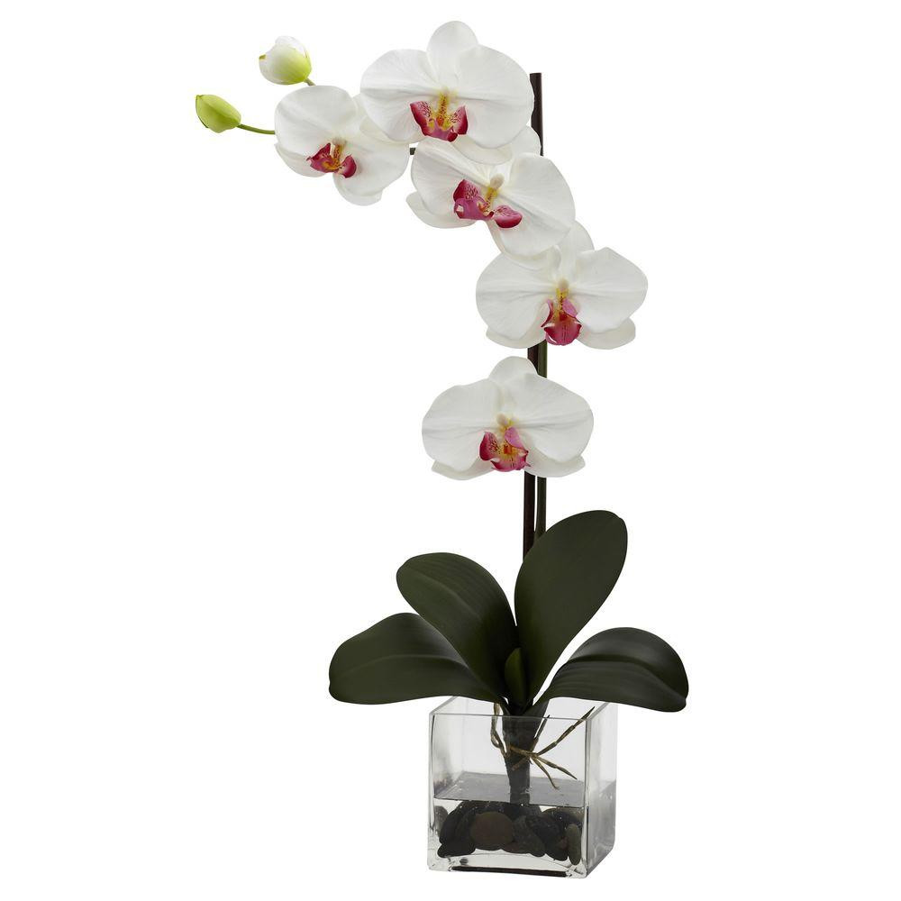 25 Stylish Purple orchid Vase 2024 free download purple orchid vase of orchid arrangements in tall vases sevenstonesinc com for nearly natural giant phalaenopsis orchid with vase arrangement in