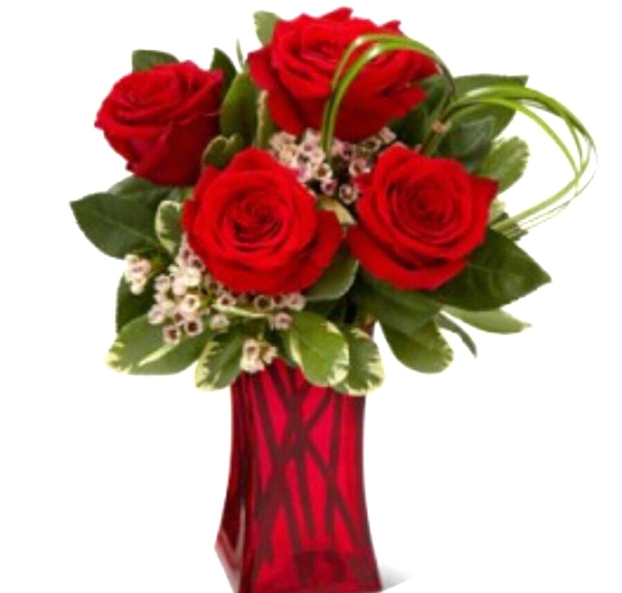 24 Stylish Red Flowers In Vase 2024 free download red flowers in vase of flower image rose inspirational 6 roses in a vaseh vases s vase throughout download image