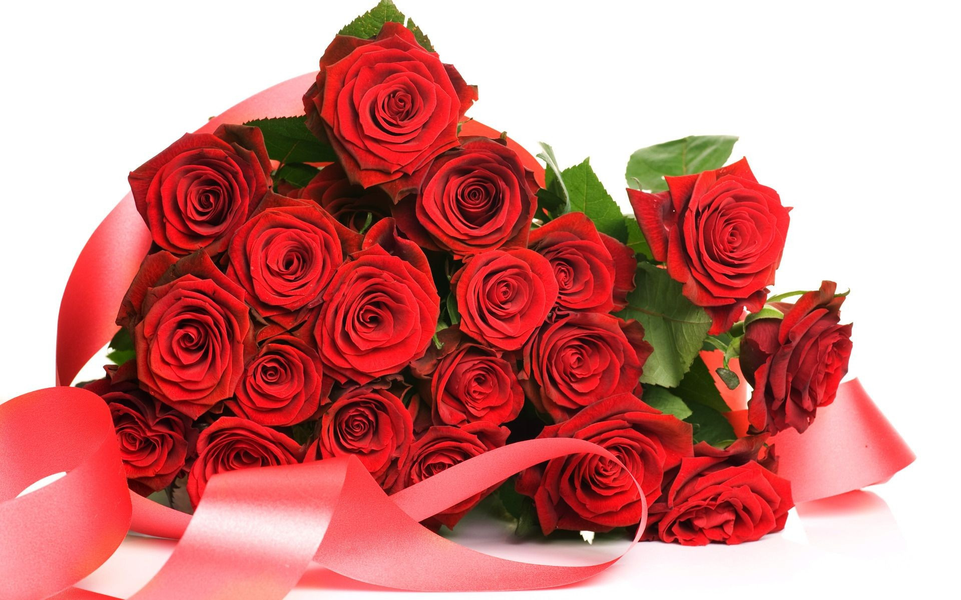 11 Popular Red Rose Vase 2024 free download red rose vase of 13 best of red roses in a vase wallpapers cuva wallpaper regarding red roses in a vase wallpapers lovely roses of 13 best of red roses in a