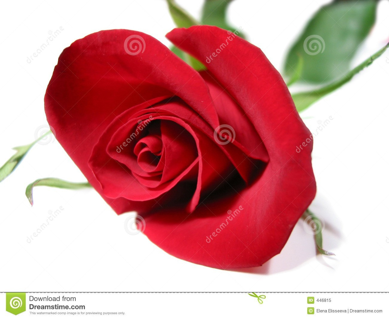 11 Popular Red Rose Vase 2024 free download red rose vase of red and white rose photos luxury luxury lsa flower colour bud vase for red and white rose photos fresh red rose flower wallpapers inspirational https s media cache ak0