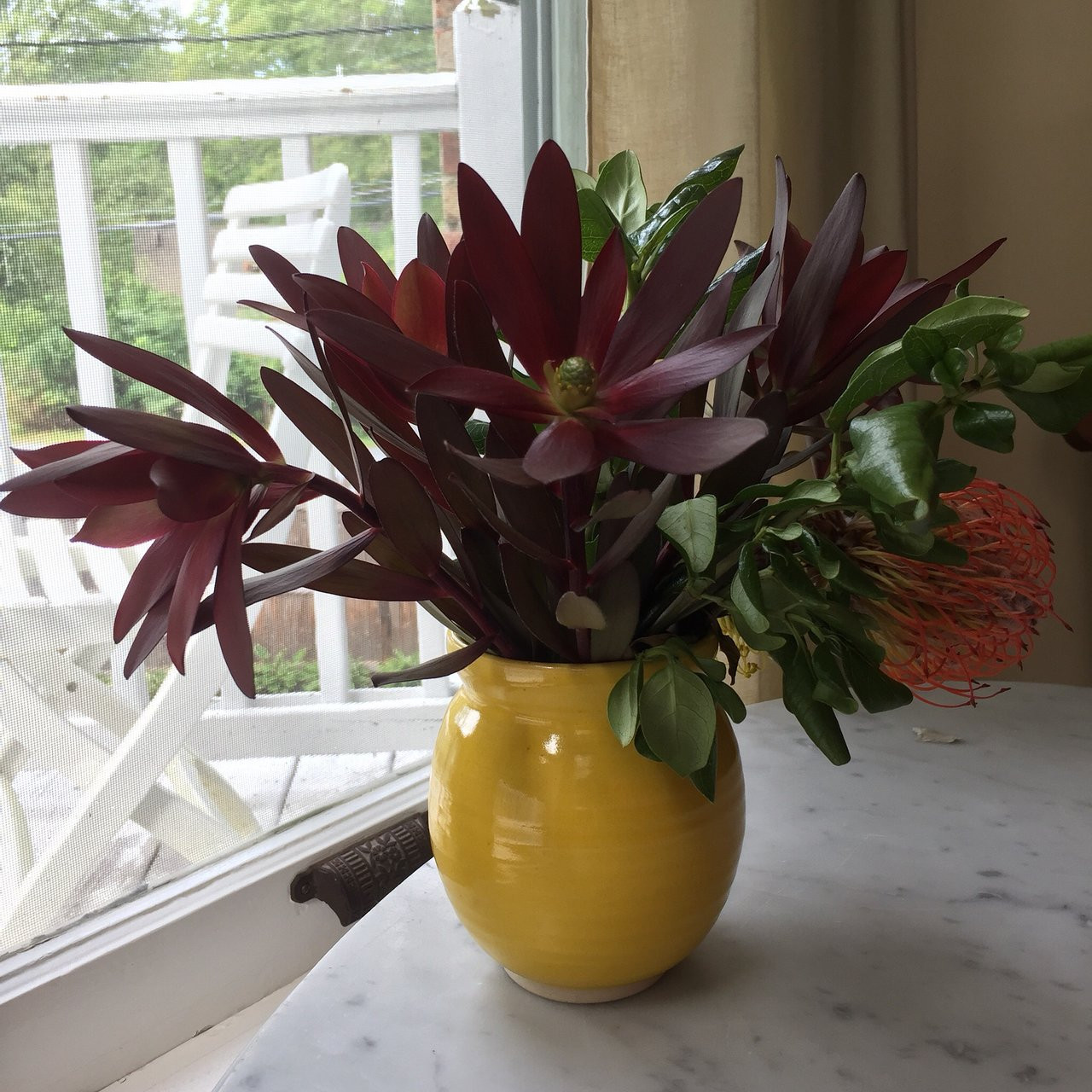 21 Lovely Red Wing Vase 2024 free download red wing vase of blue barn bnb updated 2018 prices bb reviews millbrook ny for blue barn bnb updated 2018 prices bb reviews millbrook ny tripadvisor