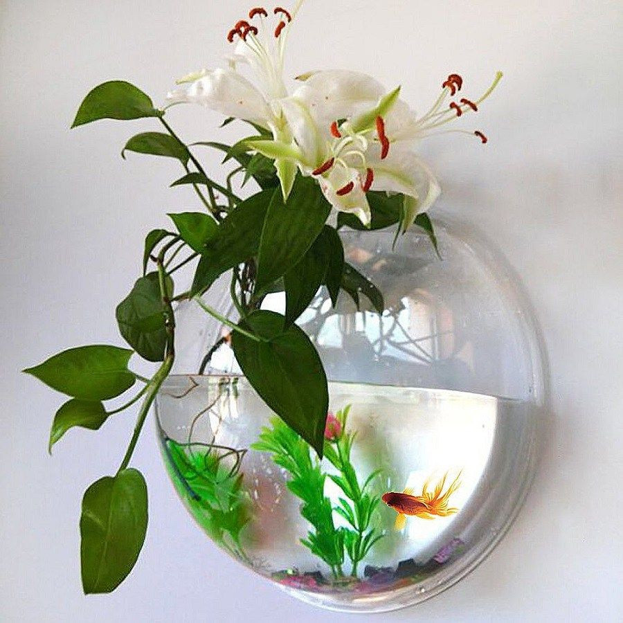 rooting vases hanging of clear fish bowl pictures hand blown molten glass and wood root regarding clear fish bowl image fish bowl acrylic hanging aquarium wall mounted pet fish tank of clear
