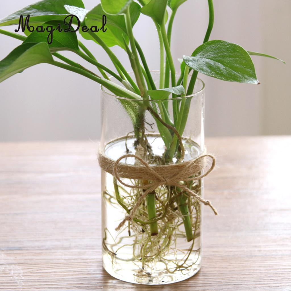 12 Best Rooting Vases Hanging 2024 free download rooting vases hanging of magideal hydroponic plants glass flower vase decorative plant pot intended for magideal hydroponic plants glass vase flower vase decorative plant pot home decor grea