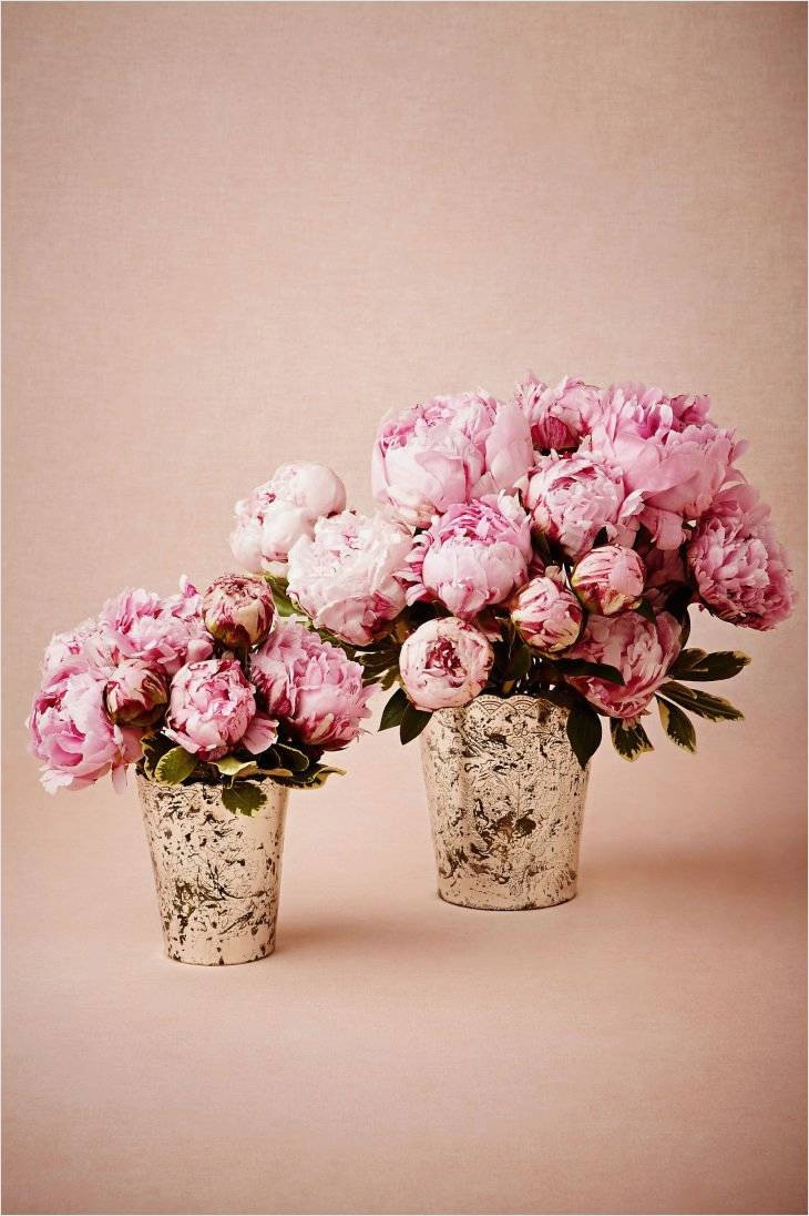 23 Fantastic Rose Gold Flower Vase 2024 free download rose gold flower vase of cool ideas on rose gold vase for decorating living room niche this inside fresh design on rose gold vase for beautiful living room designs this is so amazingly