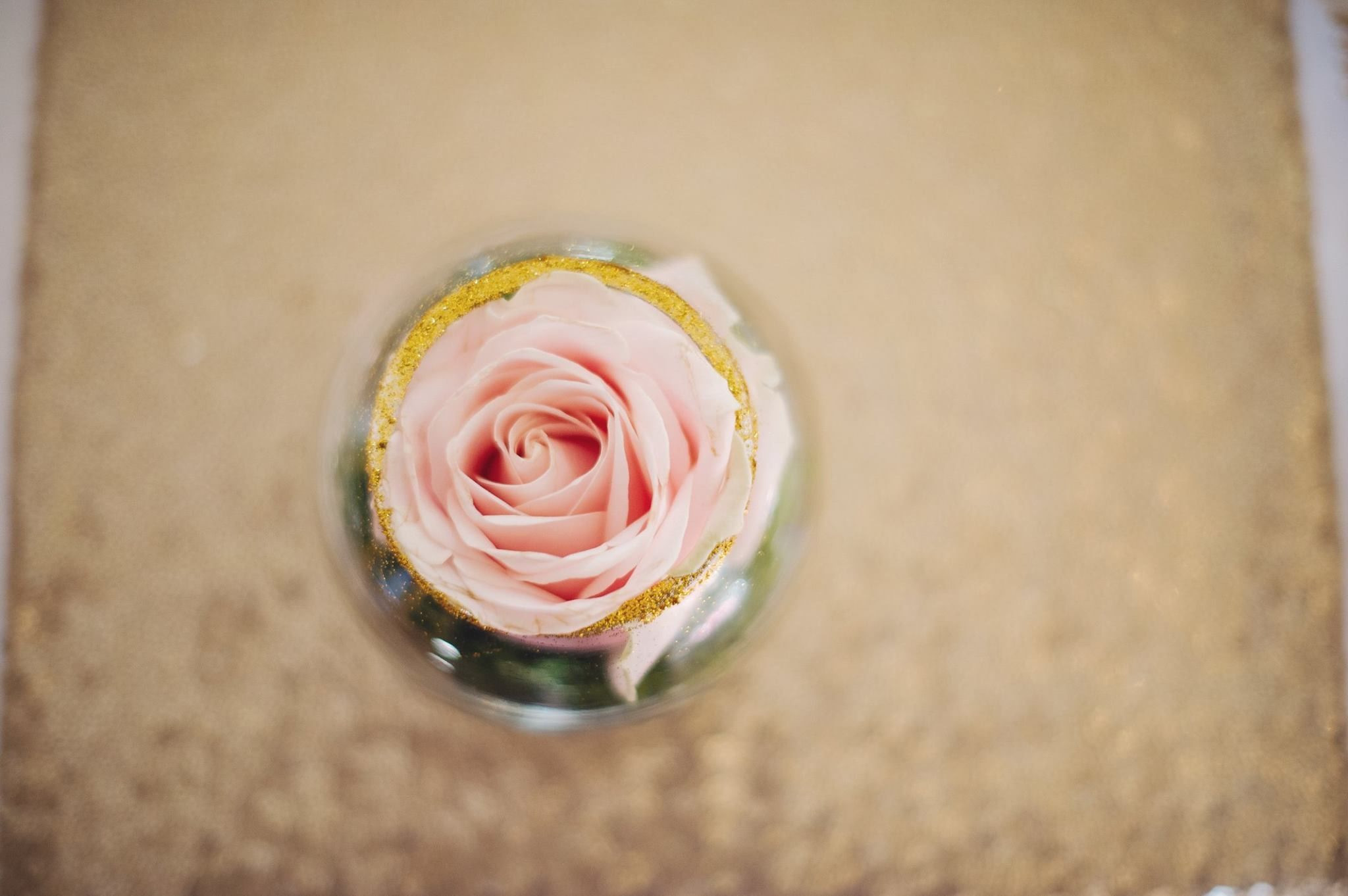 16 Elegant Rose Gold Glitter Vase 2024 free download rose gold glitter vase of stunning pale pink rose sitting on a small bed of moss in a bud vase for stunning pale pink rose sitting on a small bed of moss in a bud vase trimmed