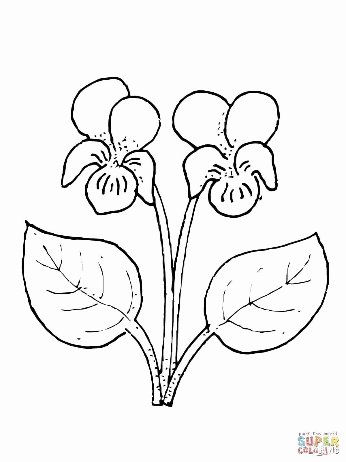 11 Awesome Royal Copenhagen Vase 2024 free download royal copenhagen vase of cheap vases for sale beautiful coloring pages awesome cool vases with regard to cheap vases for sale beautiful coloring pages awesome cool vases flower vase coloring