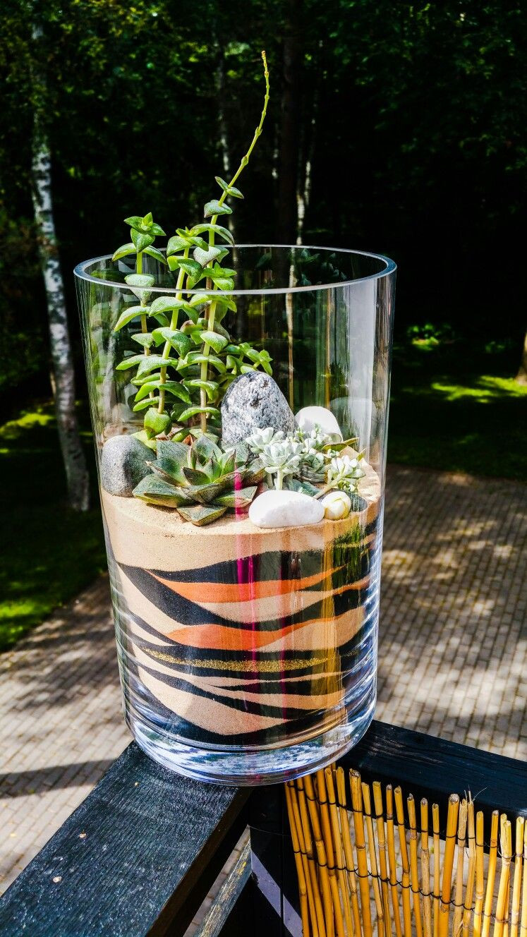 20 Perfect Sand Art Glass Vases 2024 free download sand art glass vases of succulents in a cylinder glass vase florarium sand art www for succulents in a cylinder glass vase florarium sand art www facebook