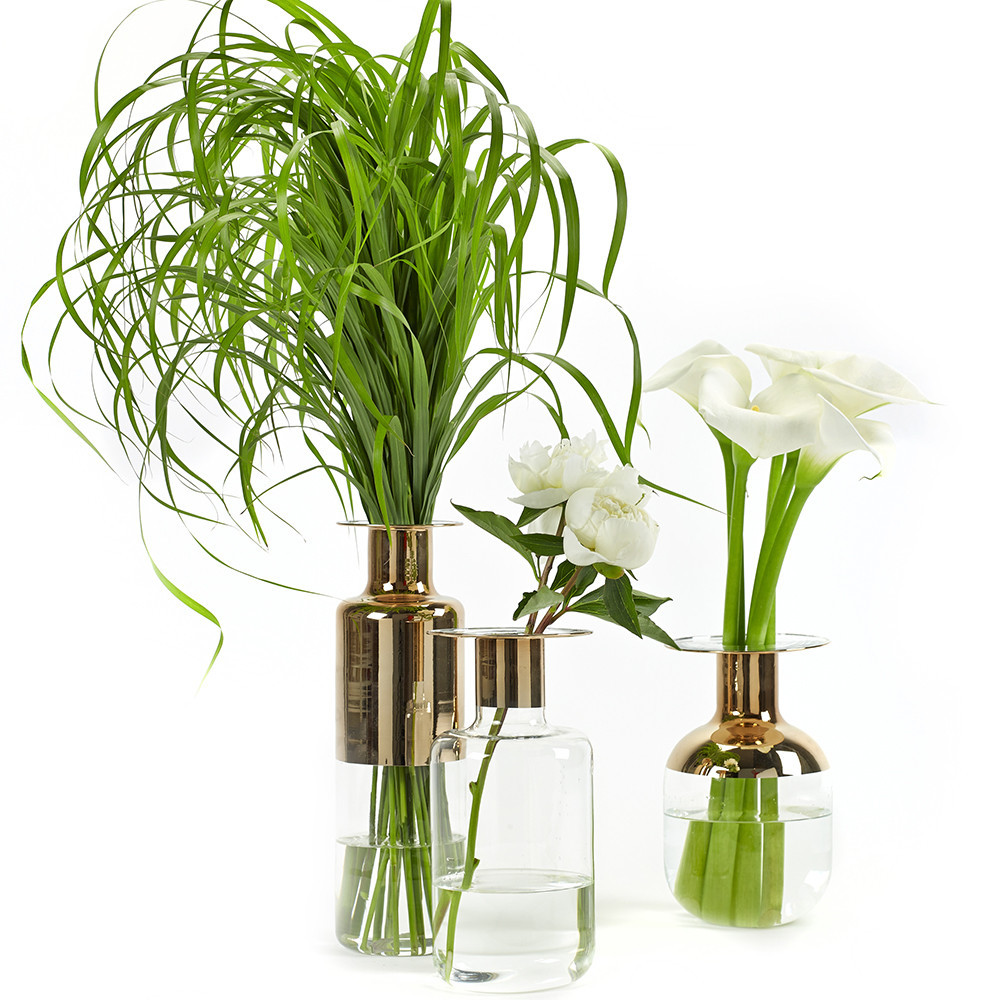 10 Elegant Serax Cactus Vase 2024 free download serax cactus vase of buy serax gold glass vase amara in gold glass vase large 302374
