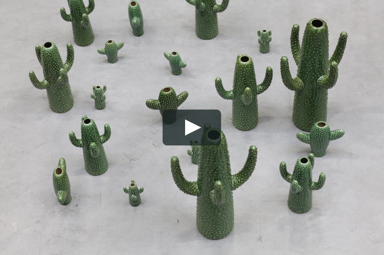 10 Elegant Serax Cactus Vase 2024 free download serax cactus vase of cactus vases by marie michielssen on vimeo throughout overlay