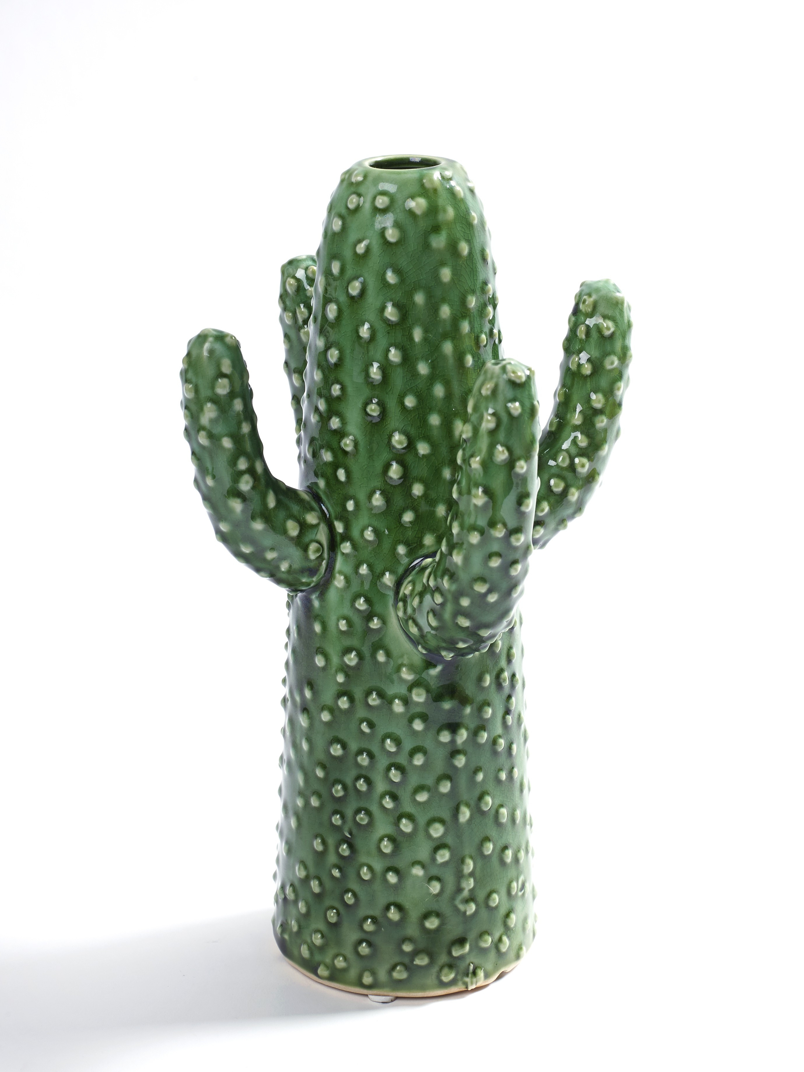 serax cactus vase of vase cactus design serax dacoration la mecsla boutique en ligne pertaining to vase cactus medium serax