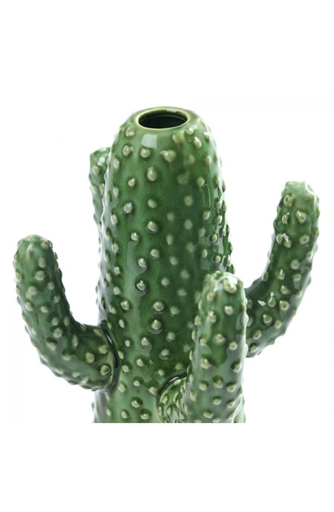 10 Elegant Serax Cactus Vase 2024 free download serax cactus vase of vaso cactus in ceramica monofiore elemento decorativo serax neofilia inside prevnext