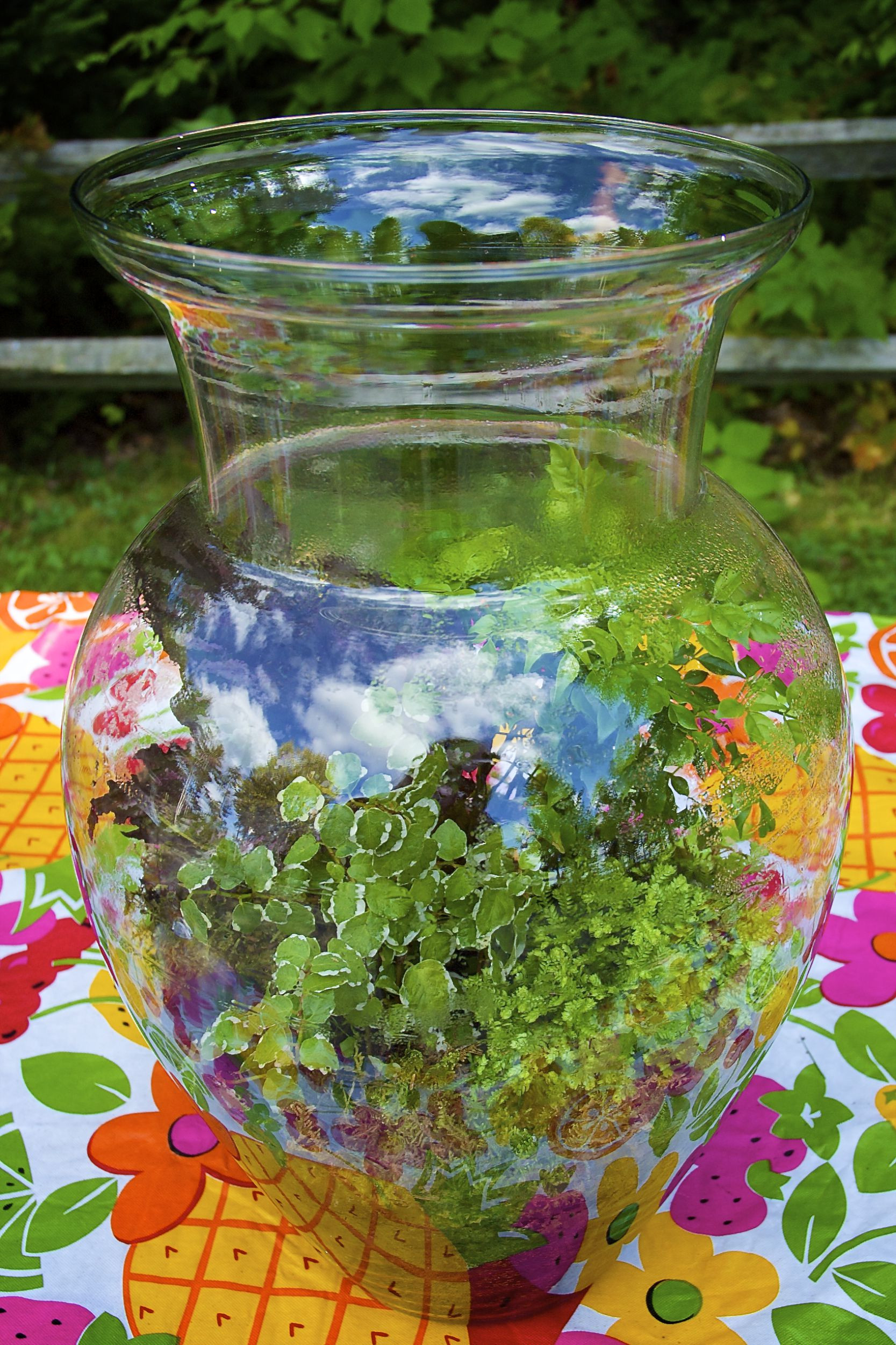 30 Unique Shallow Glass Bowl Vase 2024 free download shallow glass bowl vase of intro on how to make a terrarium inside lg terrarium 0065 56a1bfb85f9b58b7d0c23a98