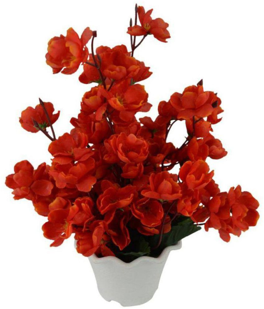 23 Recommended Silver Vase orchids 2024 free download silver vase orchids of miro orchids flowers with pot red pack of 1 buy miro orchids inside miro orchids flowers with pot red pack of 1