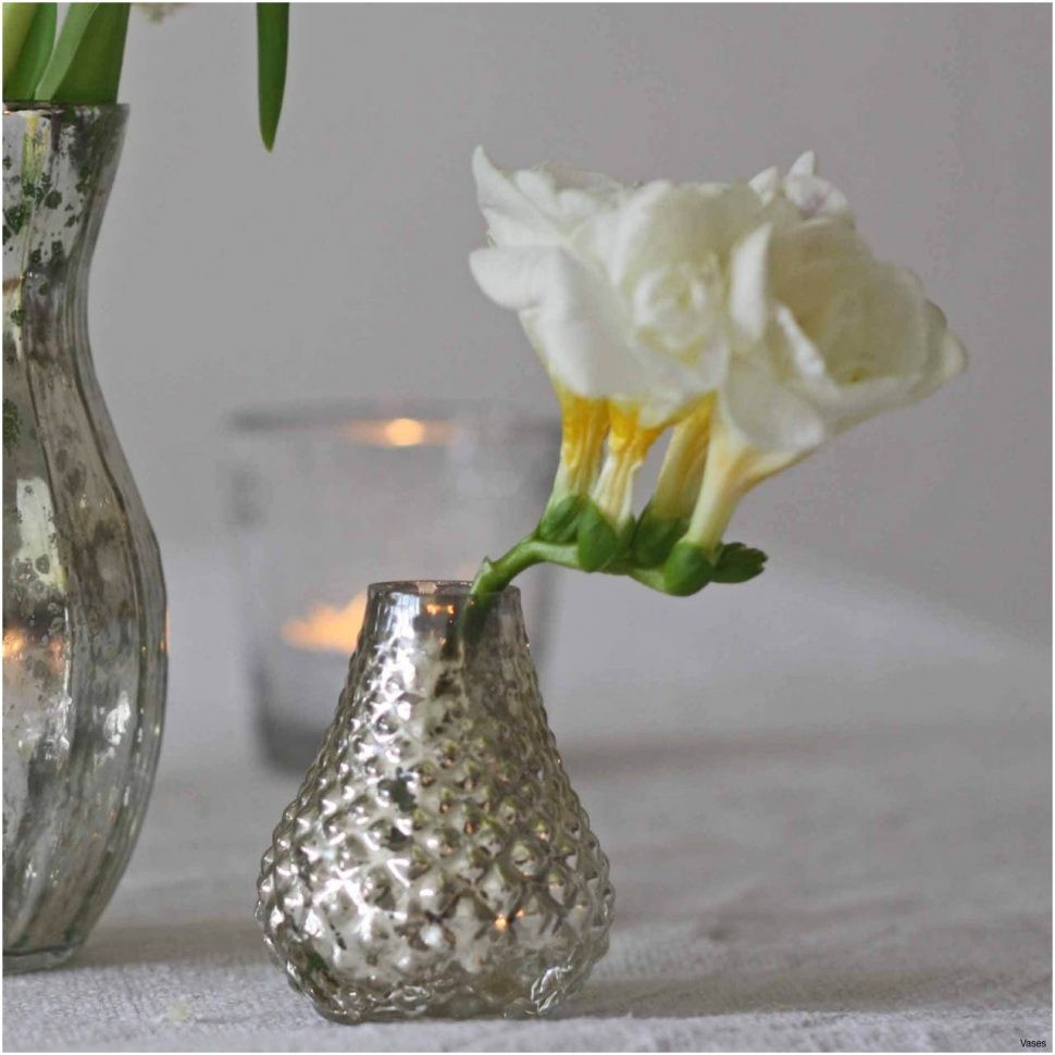 28 Great Silver Vase with Artificial Flowers 2024 free download silver vase with artificial flowers of next vases vase and cellar image avorcor com throughout next artificial flowers magnificent jar flower 1h vases bud wedding