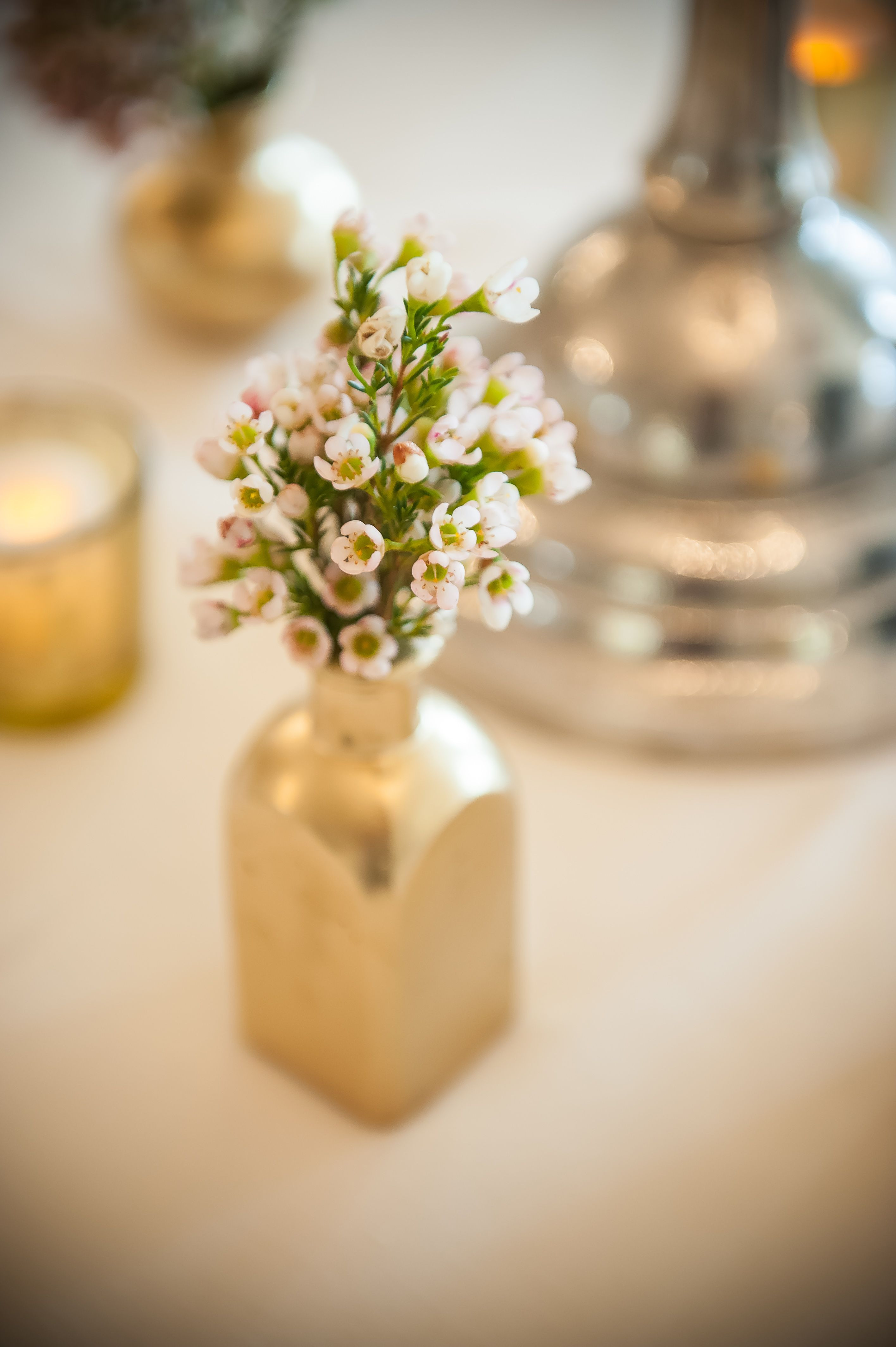 20 Cute Single Bud Vase 2024 free download single bud vase of how about little gold bud vases with white waxflowers for the pertaining to how about little gold bud vases with white waxflowers for the cocktail tables www