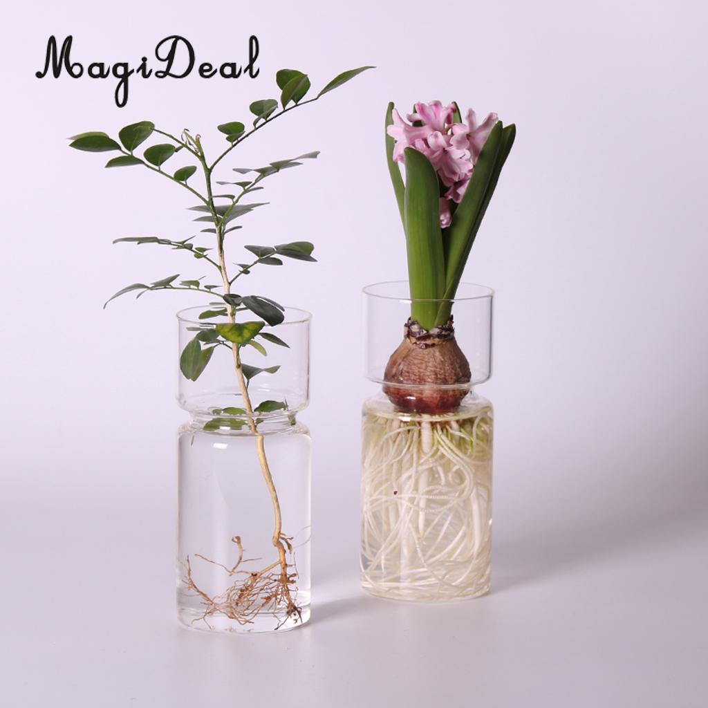 12 Stunning Single Flower Glass Vase 2024 free download single flower glass vase of magideal clear hyacinth glass vase flower planter pot diy terrarium regarding 1 x glass vase aeproduct getsubject