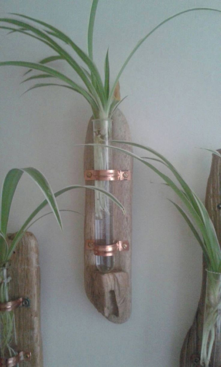 20 Amazing Single Flower Tube Vase 2024 free download single flower tube vase of 71 best vases and candle holders images on pinterest ornaments regarding driftwood wall vase for single flower display with copper fittings glass test tube driftwo