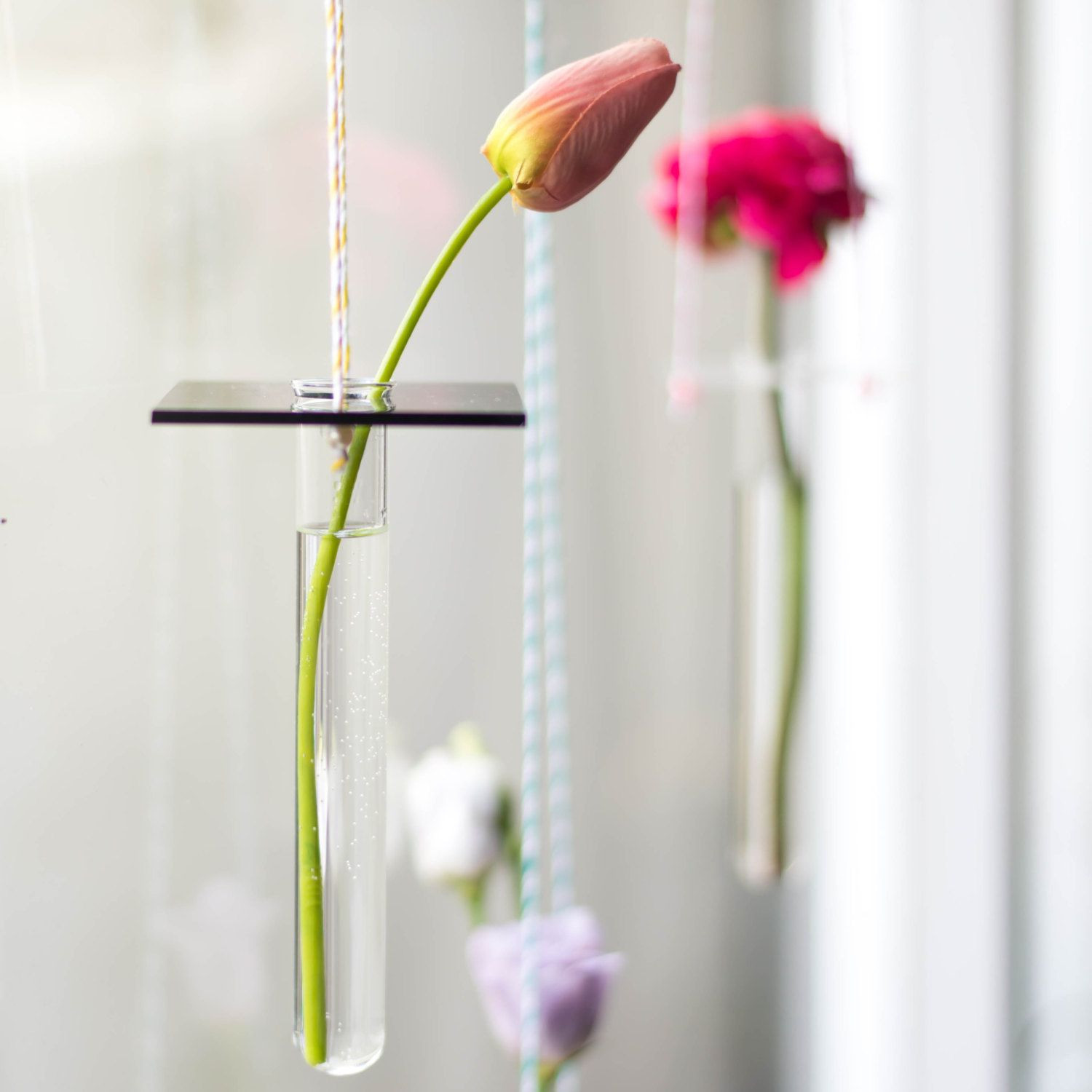 20 Amazing Single Flower Tube Vase 2024 free download single flower tube vase of hanging vase minimal hanging vase test tube vase party throughout this stylish minimal flower display will brighten up any window or wall simply place a