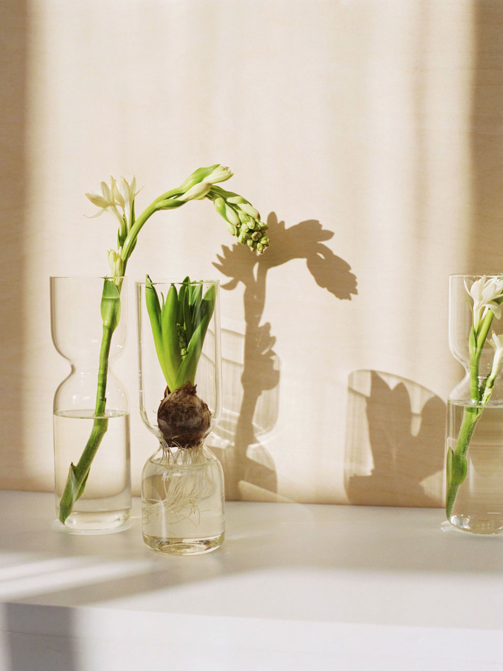 single flower tube vase of p styletext align justifywith a design perfect for sprouting within with a design