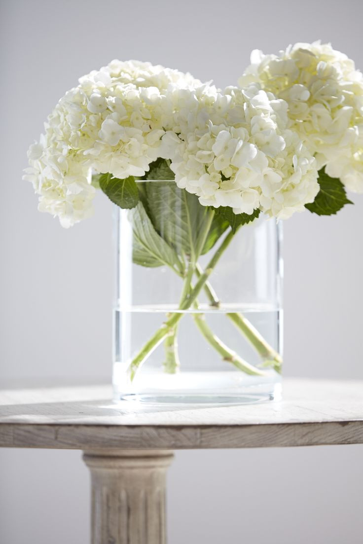 29 Amazing Single Hydrangea In Vase 2024 free download single hydrangea in vase of 1528 best floral arrangements images on pinterest floral in hydrangea from the yard