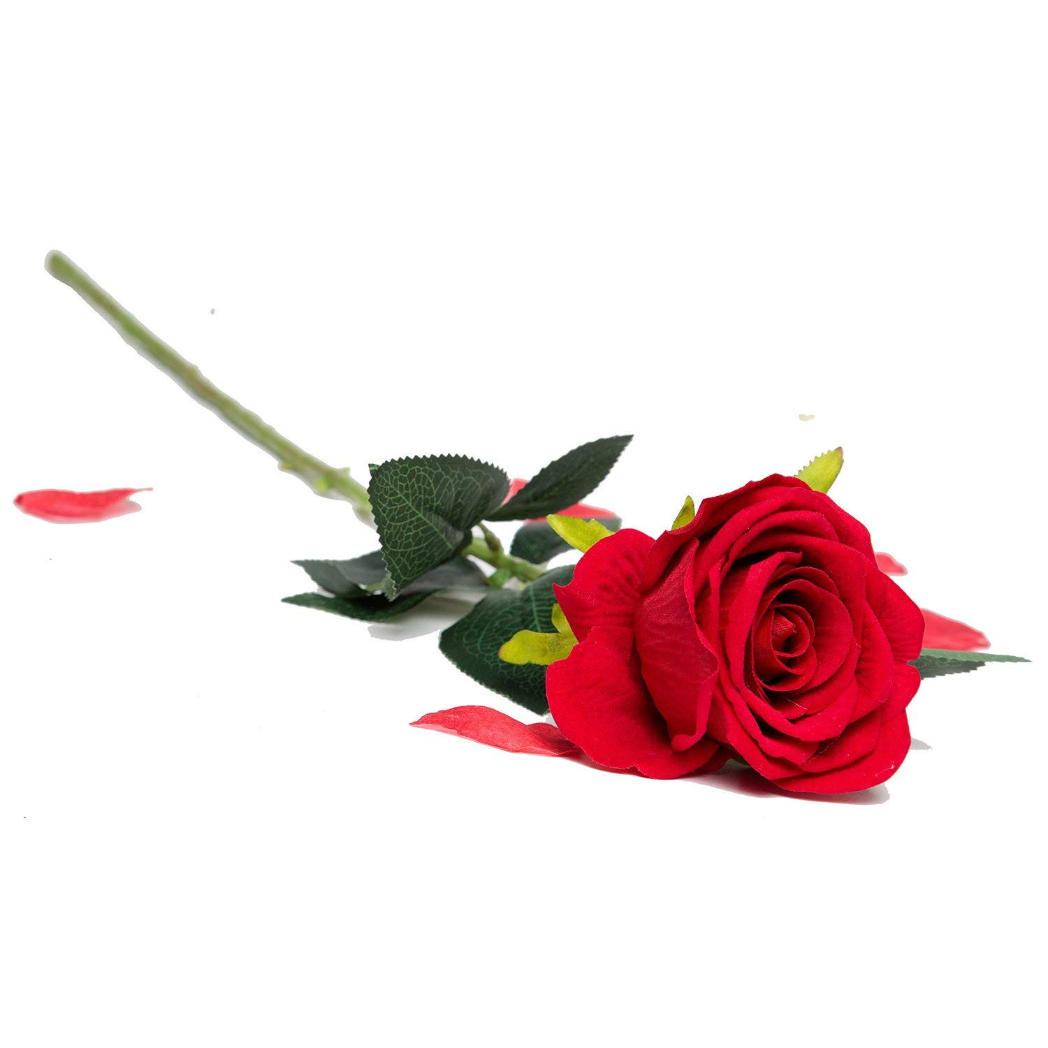 28 Perfect Single Rose Bud Vase 2024 free download single rose bud vase of amazon com artificial silk roses red velvet 30 long stemmed 1 with amazon com artificial silk roses red velvet 30 long stemmed 1 dozen fake flowers for bouquets weddi