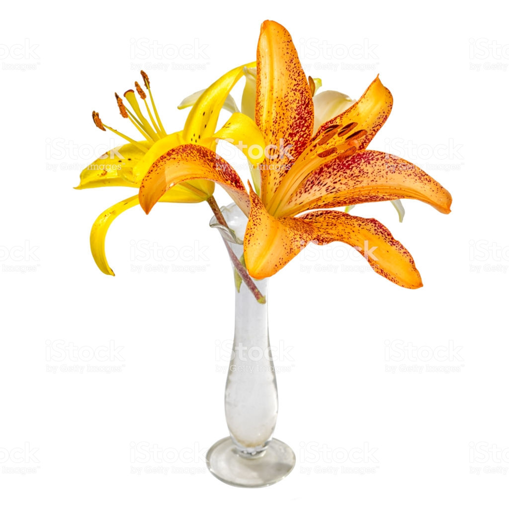 17 Unique Small Blue Glass Vase 2022 free download small blue glass vase of bouquet with lily flowers in a small transparent glass vase isolated throughout bouquet with lily flowers in a small transparent glass vase isolated on white backgro