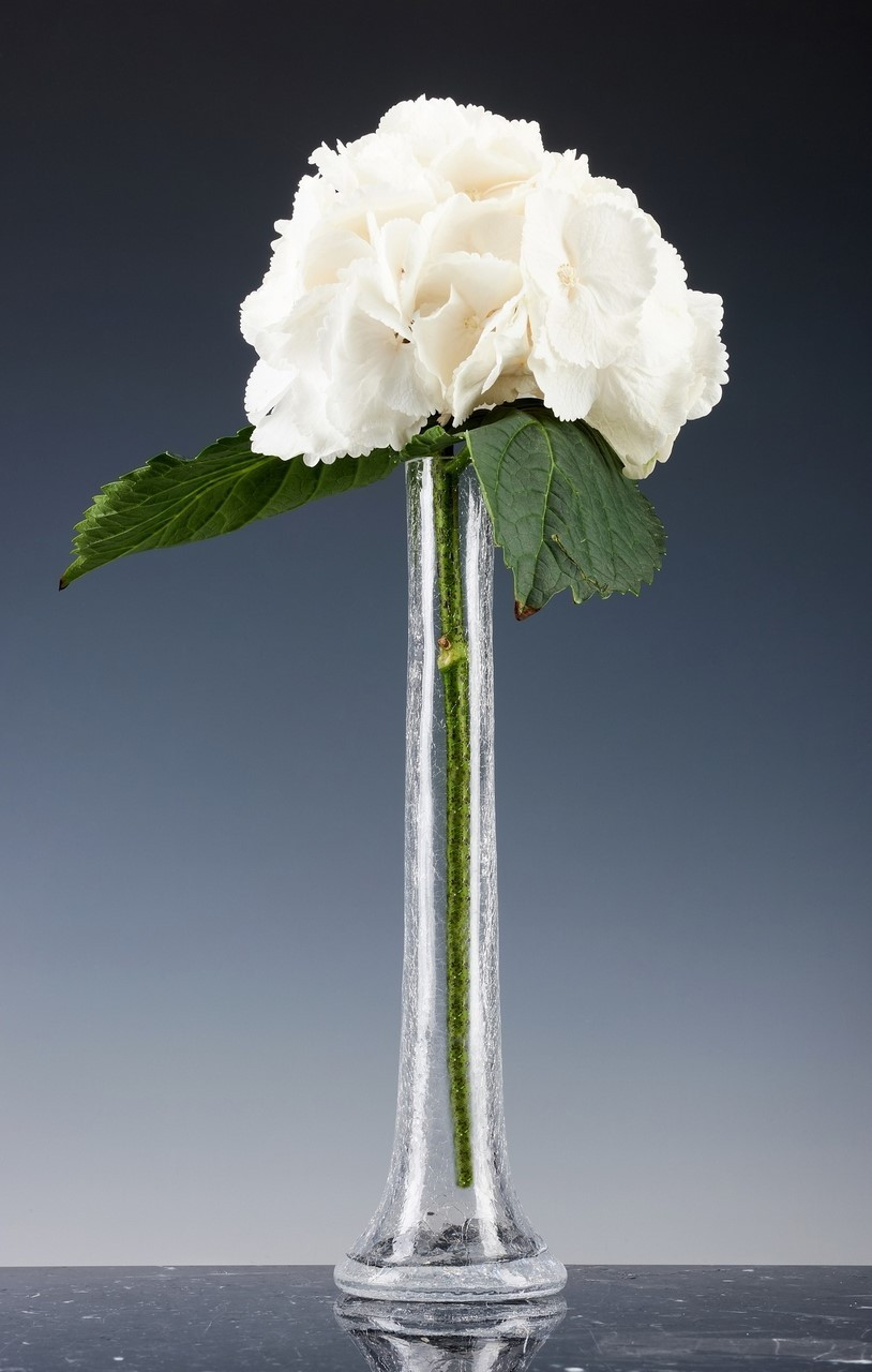 21 Stylish Small Crystal Flower Vase 2024 free download small crystal flower vase of oskar kogoj nature design glass with regard to 52 aphrodite flower vase