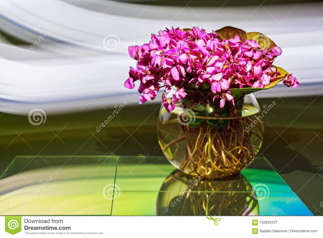 16 Recommended Small Glass Vase Flower Arrangements 2024 free download small glass vase flower arrangements of bouquet of violet flowers or viola odorata in bowl stock image throughout bouquet of violet flowers or viola odorata in bowl