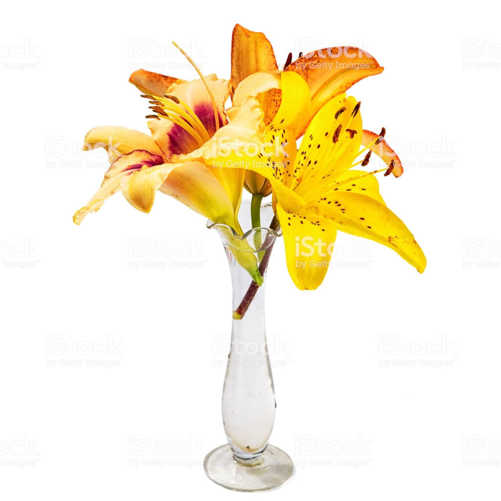 30 Awesome Small Glass Vases for Centerpieces 2024 free download small glass vases for centerpieces of bouquet with lily flowers in a small transparent glass vase isolated regarding bouquet with lily flowers in a small transparent glass vase isolated on w