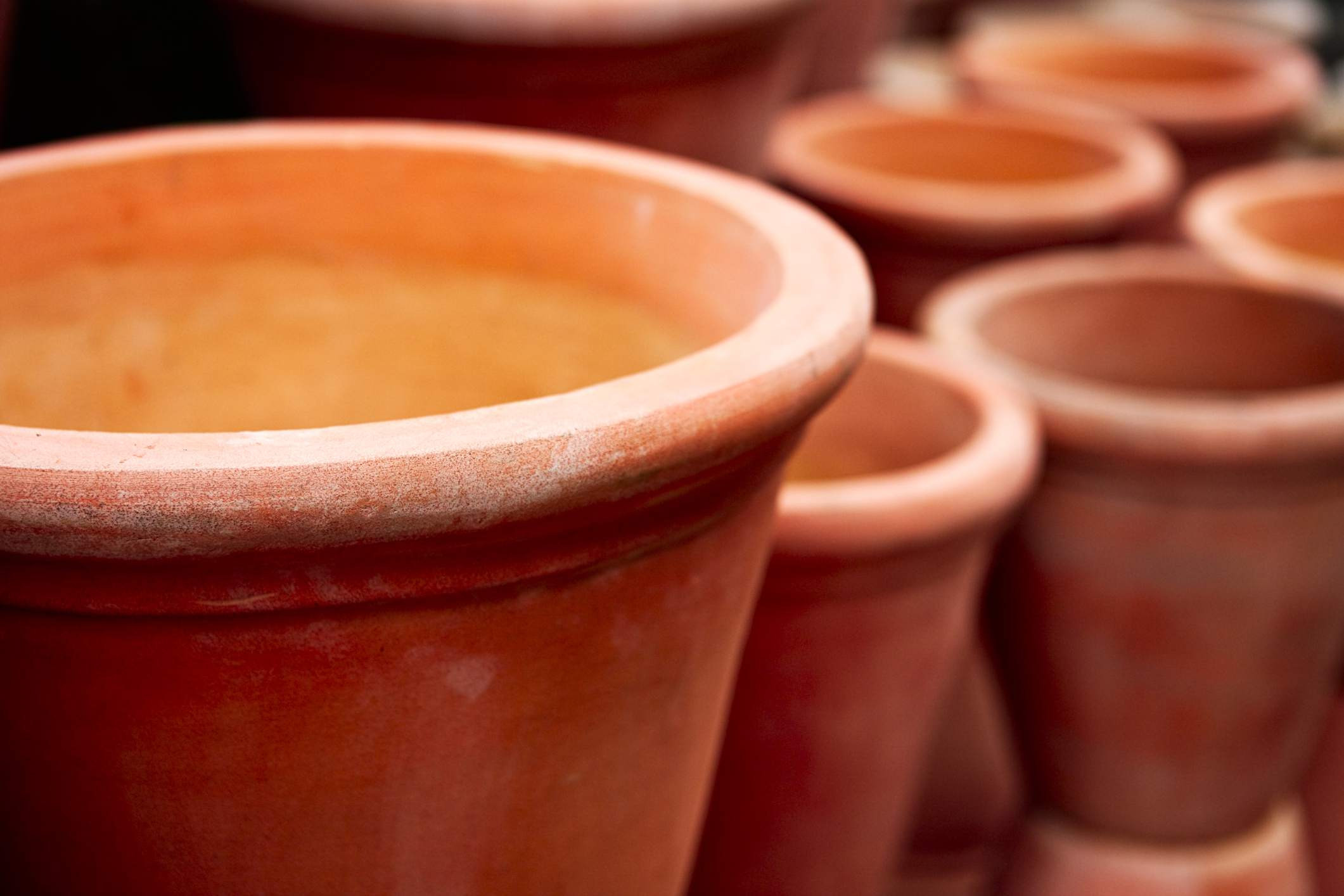 26 Elegant Small Terra Cotta Vases 2024 free download small terra cotta vases of how to make a flower pot grill for about 10 inside terracottapots gettyimages 134099218 590a029d3df78c9283024520